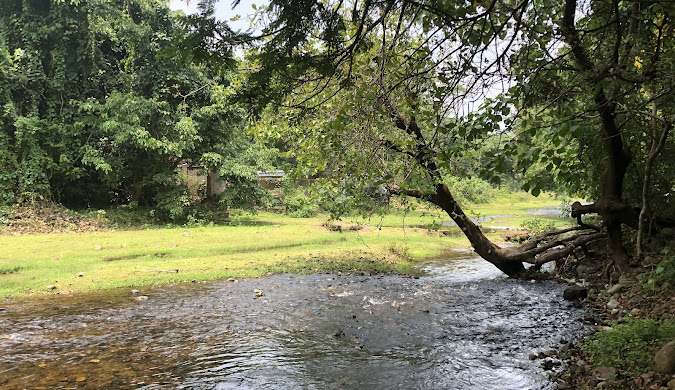 River landscapes near Kottiyoor